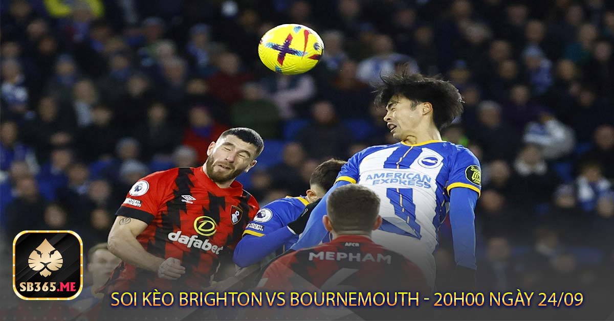 Phân tích kết quả Brighton vs Bournemouth