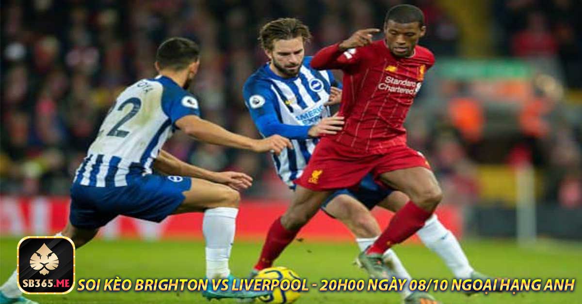 Chuyên gia nhận định dự đoán trận Brighton vs Liverpool