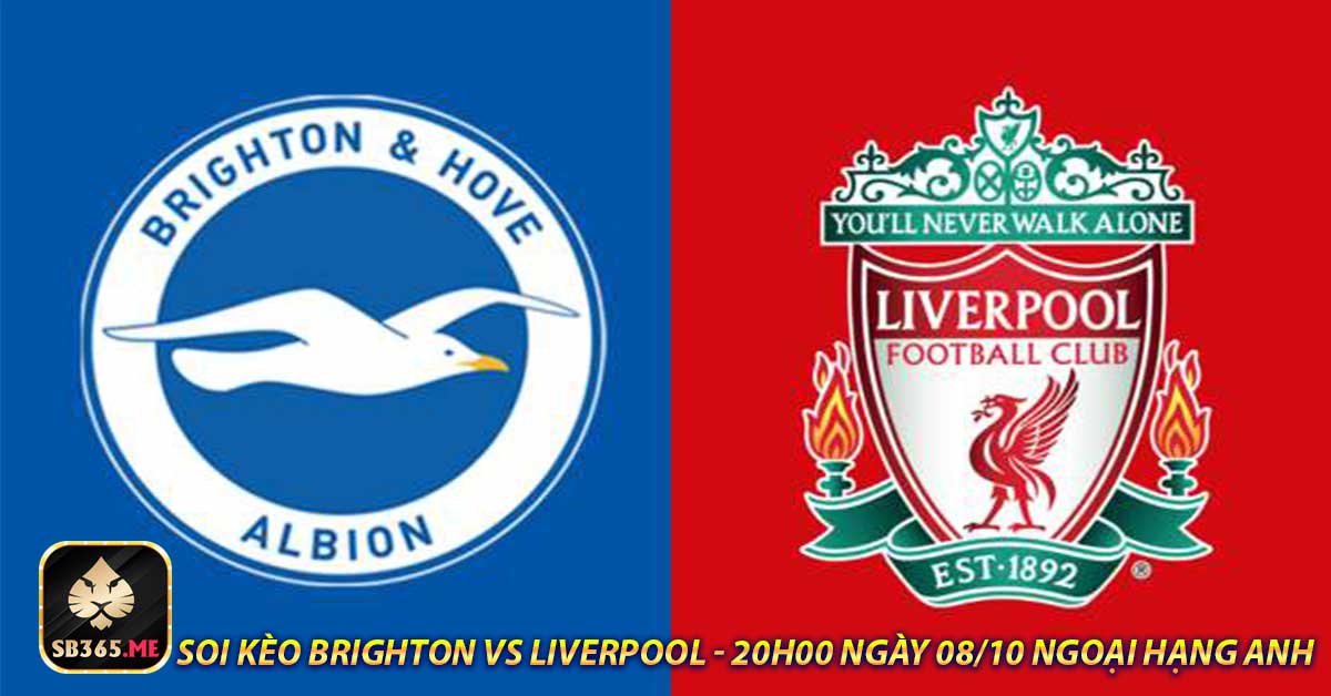 Soi kèo Brighton vs Liverpool